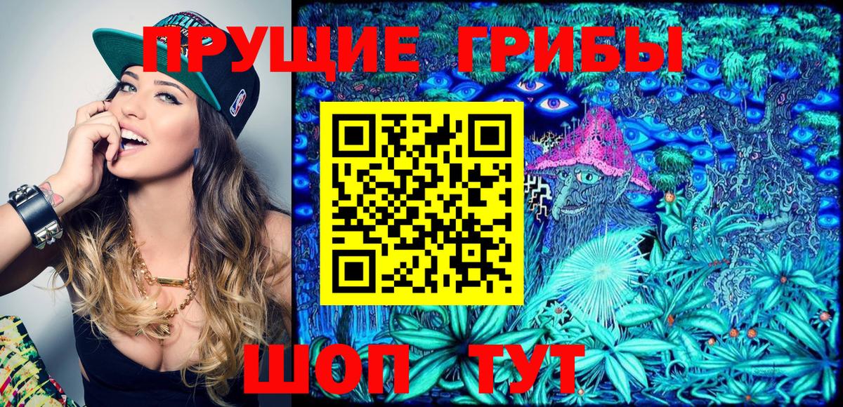 Энгельс  Галлюциногенные грибы Magic Shrooms  Вход с VPN 